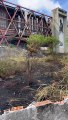 Incêndio atinge vegetação no antigo Centro de Convenções em Salvador