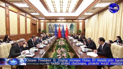 China, EU should join hands to tackle global challenges, promote world stability