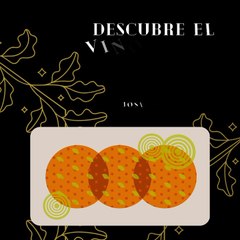 Jose Antonio Haua Maauad- Delicias en cada sorbo (parte 1)