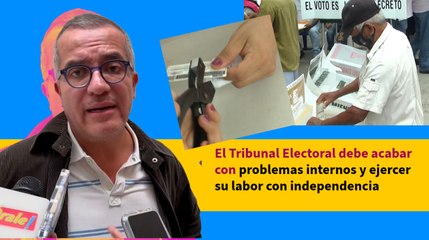 El Tribunal Electoral debe acabar con problemas internos y ejercer su labor con independencia