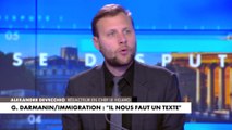 Alexandre Devecchio : «Les Français veulent une loi immigration, mais pas celle-ci»