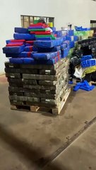 PF promove destruição de 12 toneladas de drogas na 9ª ação de incineração do ano