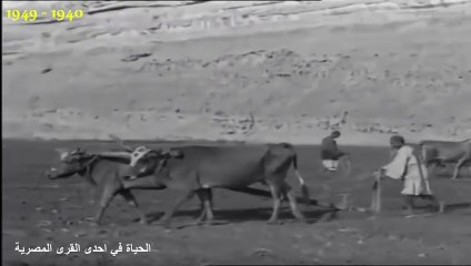 الحياة اليومية في احدى القرى المصرية ما بين 1945 - 1949م
