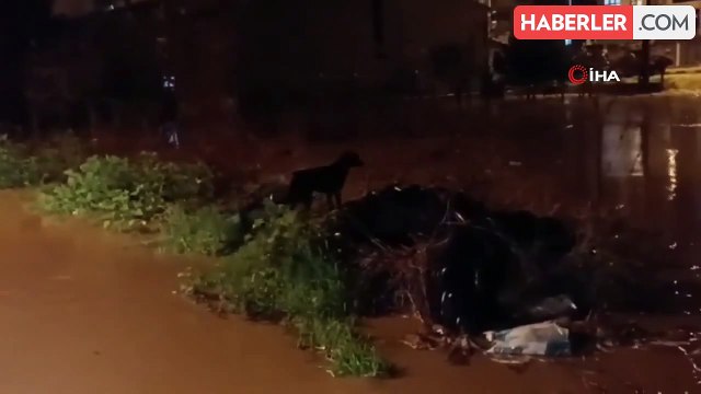 Çardak'ta Sağanak Yağış: Evler ve Tarlalar Sular Altında
