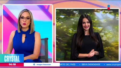 Tren Maya: Ruta, costo y horarios