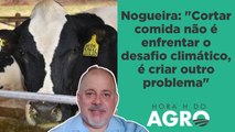 ONU quer que mundo coma menos carne para atingir meta climática; entenda! | HORA H DO AGRO