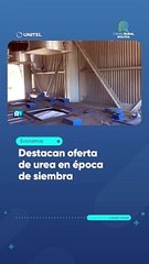Destacan oferta de urea en época de siembra