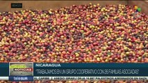 Fincas agroturísticas en Nicaragua devienen alternativa de desarrollo económico