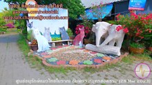 ศูนย์อนุรักษ์แมวไทยโบราณ ต.แควอ้อม อ.อัมพวา สมุทรสงคราม