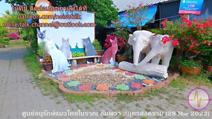 ศูนย์อนุรักษ์แมวไทยโบราณ ต.แควอ้อม อ.อัมพวา สมุทรสงคราม