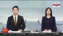 경복궁 담벼락에 스프레이 낙서…경찰 용의자 추적