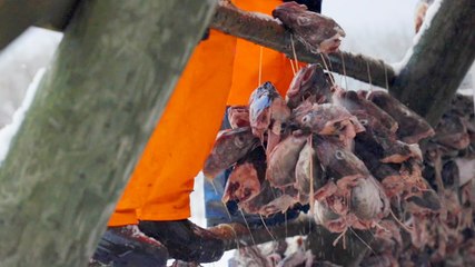 How the most expensive foods are made around the world