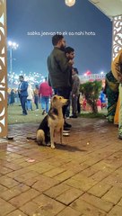 They too have the feeling when you eat in front of them