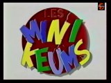 DAnime : les dessins animés dans l'émission les Minikeums (1ere partie)