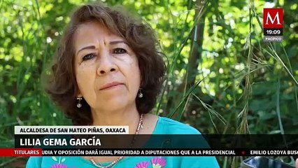 Familias de la Sierra Sur de Oaxaca se ven afectadas por hongo en el cafetal