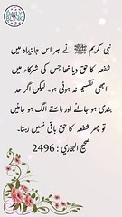 Daily Hadees | Hadees Sharif | Sahih Bukhari 2496 || Daily Blink #shorts #viral #sahihbukhari