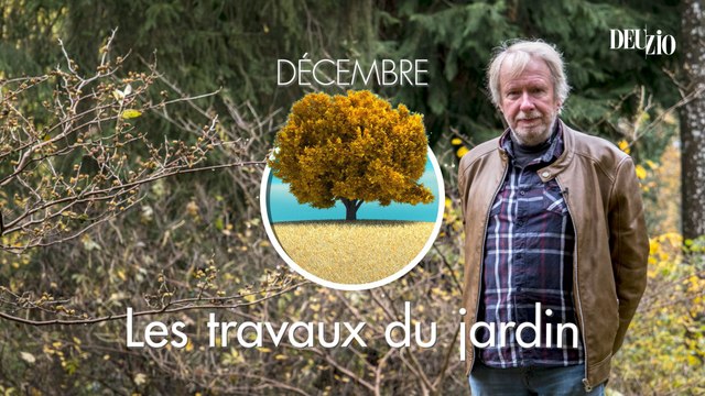 Travaux du jardin - 16 décembre 2023 : pas de conifère dans les haies