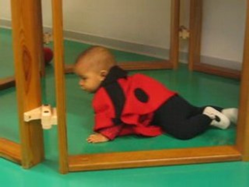 Ma petite coccinelle