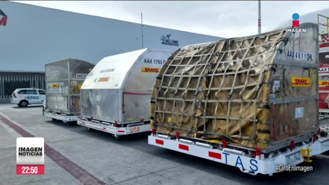 Llega a México primer cargamento de vacunas Pfizer contra Covid-19