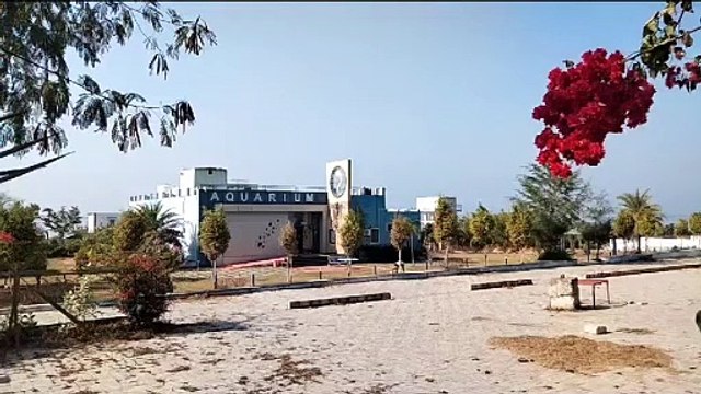 बीसलपुर बांध पर रंगीन मछली प्रदर्शनी केन्द्र पर लटके ताले