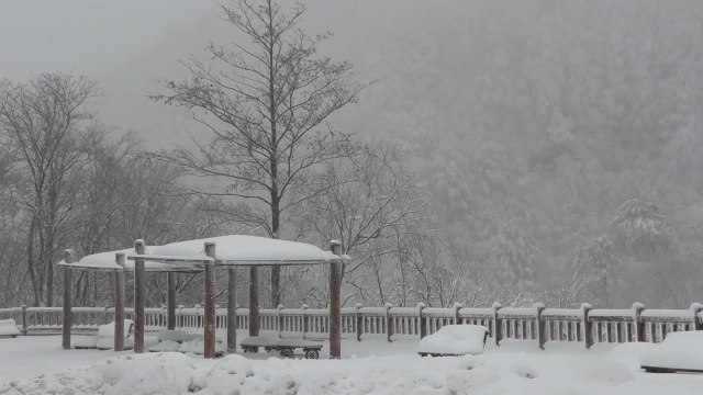 [날씨] 서쪽 중심 많은 눈...전국 한파특보 속 영하권 강추위 / YTN