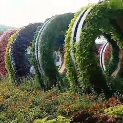 حديقة الزهور بدبى