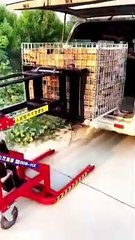 Electric Lifter #shorts #viral #shortsvideo #video #innovationhub