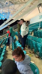 Angry Dolphins Fan Causes Collateral Damage