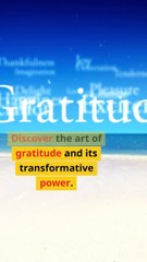 The Transformative Power of Gratitude