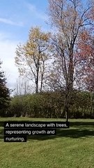 Navigating Risk An Investor's Trusty Compass