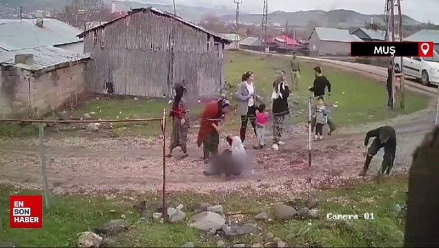 Muş'ta köpeklerin saldırdığı yaşlı kadın isyan etti: Bir köpek dahi kalmasın