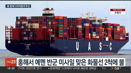 "美, 홍해에 다국적 함대 추진…동맹국들에 지원 요청"