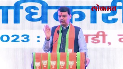 भाजप किती जागा लढणार