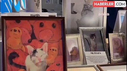 Ankara'da Hayvanseverler PATİKARA Hayvan Koruma Derneği'ni Kurdu