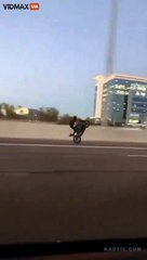 This Guy Won The Darwin And FAFO Awards For This Little Highway Stunt