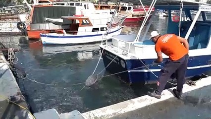 Akdeniz'de mikroplastik alarmı: Denizden çıkan 1 ton atığın 800 kilogramı plastik