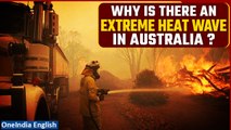 Australia swelters through heat wave amid 'extreme' fire danger | Know more | Oneindia News