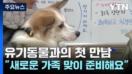 유기동물과의 첫 만남..."새로운 가족 맞이 준비해요" / YTN