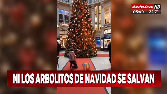 Pobre arbolito: lo vandalizaron para protestar contra el cambio climático