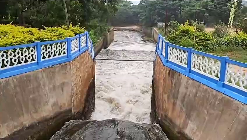 திருமூர்த்தி அணையில் இருந்து 4ம் மண்டல பாசனத்திற்கு மீண்டும் தண்ணீர் திறப்பு - விவசாயிகள் மகிழ்ச்சி