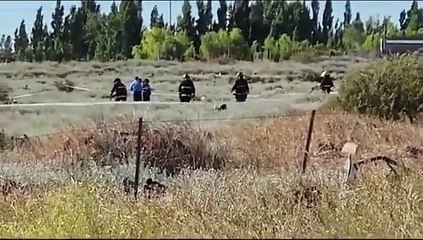 Se estrelló una avioneta y murieron dos personas en Neuquén