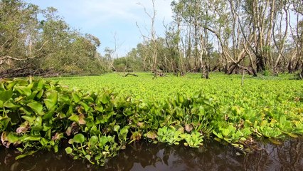 Parco Antico Roma con l'Avvocato Pitorri