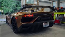 Lamborghini SVJ La Furie déchaînée