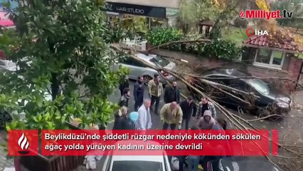 Beylikdüzü’nde şiddetli rüzgar nedeniyle ağaç, bir kadının üzerine devrildi