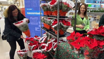 Tarnów - świąteczna ekologiczna akcja Gazety Krakowskiej