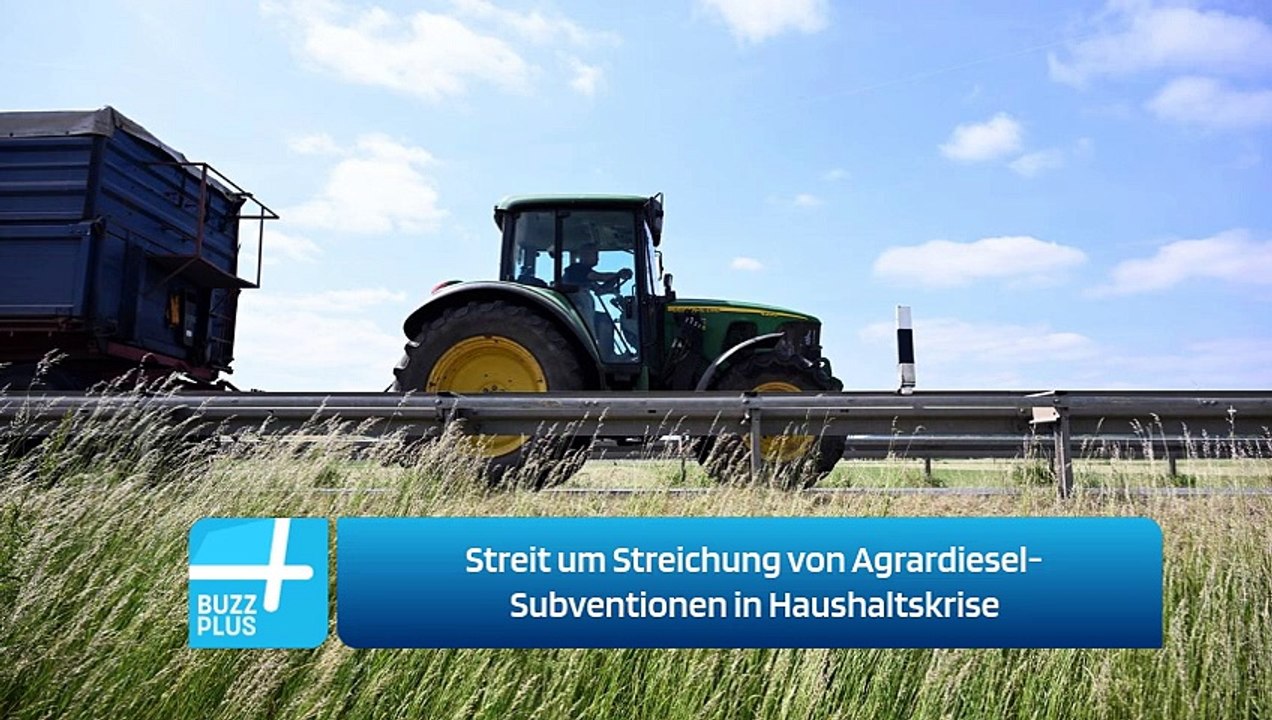 Streit um Streichung von Agrardiesel-Subventionen in Haushaltskrise