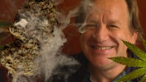 Aux Pays-Bas, la culture et la commercialisation du cannabis rendues légales