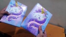 Unboxing and Review of Fur Diary for Girls Personal A5 Size Diary Unicorn Furry Diary for Girls Cute