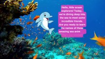 Sea Animals #Teaching children sea animals - English #Educational Video #animals #animalsvideo #sea
