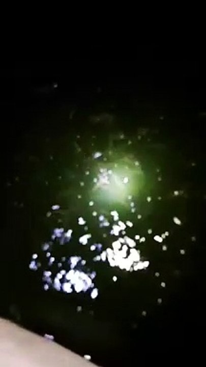 Tebar bibit lele ukuran 2-3cm panen ukuran 5-7cm itulah segmen pendederan